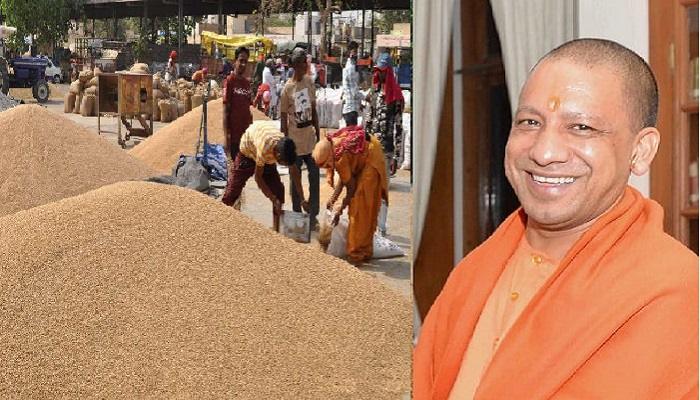 यूपी में हुई 53.79 लाख मीट्रिक टन धान की खरीद
