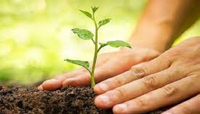 जिस प्रकार शरीर के लिए भोजन की आवश्यकता होती है, उसी प्रकार पर्यावरण के लिए पेड़-पौधे जरूरी