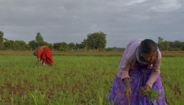 बजट में महिला किसानों को 12 हजार रुपये देने की घोषणा संभव, सम्मान निधि हो सकती है दोगुनी