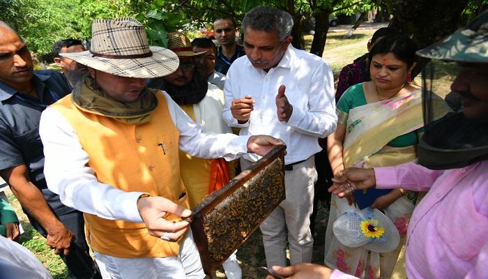 शहद निष्कासन कार्यक्रम में निकाला गया 25 KG शहद