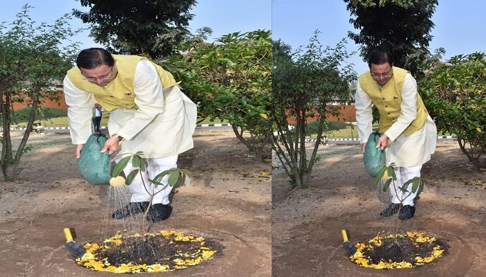 सीएम धामी ने किया राजकीय वृक्ष बुरांश का पौधारोपण