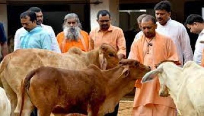 जनभागीदारी से मिलेगा निराश्रित गोवंश को सहारा