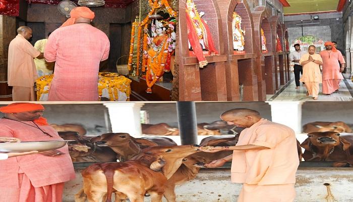 सीएम ने किए मां पाटेश्वरी के दर्शन-पूजन
