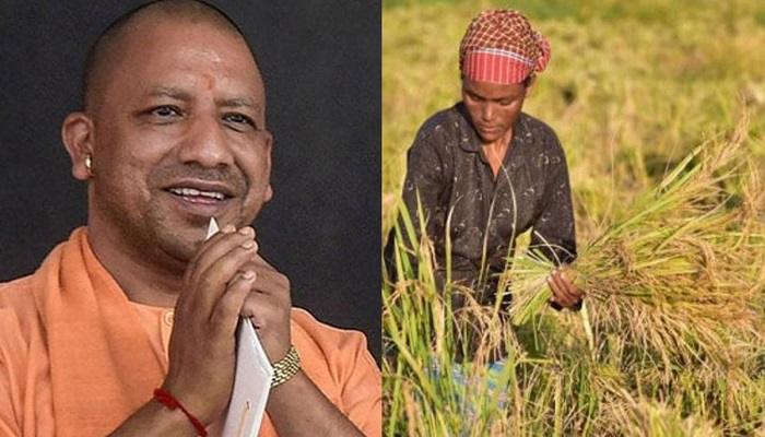 डीबीटी के जरिए किसानों के खातों में पहुंची राशि, पंजीकरण और खरीद में ऐतिहासिक बढ़ोतरी