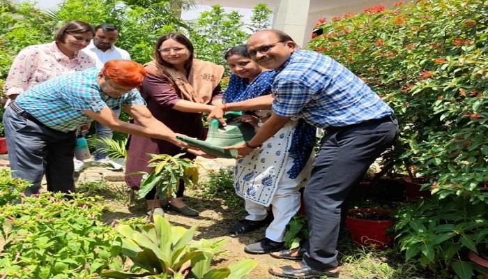 विश्व पर्यावरण दिवस पर निकाय निदेशक नेहा शर्मा ने रोपा पौधा