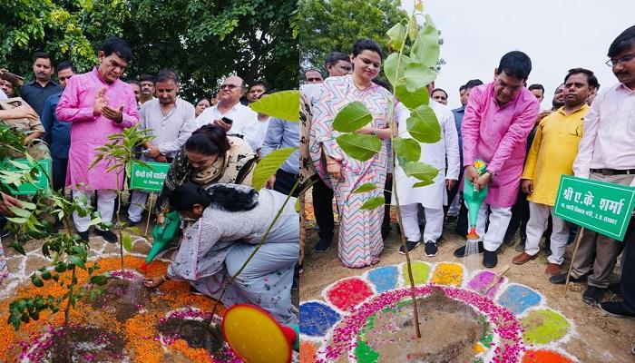 वृक्ष हमारे भौतिक जीवन व हमारे स्वास्थ्य को बढ़ाने में मदद करते हैं