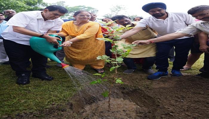 नगर विकास मंत्री ने वन महोत्सव को उत्सव की तरह मनाने का किया आह्वान