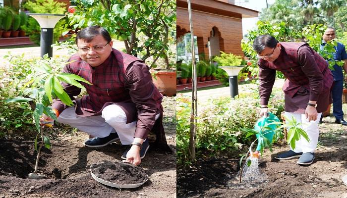 सीएम धामी ने हरेला पर्व पर लगाया आम का पौधा,बोले-प्रकृति संरक्षण और संवर्द्धन का पर्व है