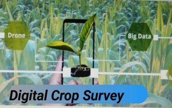 Digital crop survey
