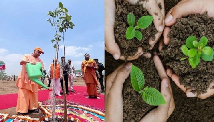 यूपी के 14 नगरों में 351 नगर वाटिकाएं विकसित