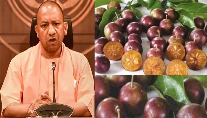 लुप्त हो रहा पनियाला योगी सरकार की पहल से बनेगा खास