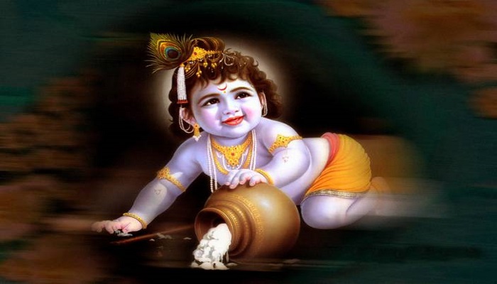श्री कृष्ण जन्माष्टमी पर पहली बार निकाली जाएगी शोभायात्रा