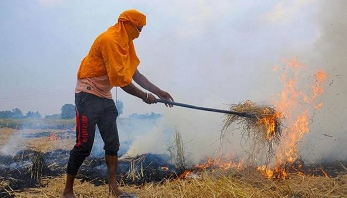 यूपी में प्रदूषण की जगह आय का स्रोत बनेगी पराली