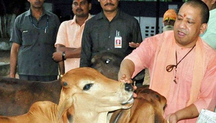 सीएम योगी ने दिये निर्देश, जन्माष्टमी पर गौशालाओं में हों भव्य आयोजन