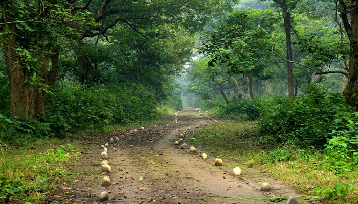 पर्यटकों के लिए कई बड़ी सौगात भी दे सकते हैं सीएम योगी