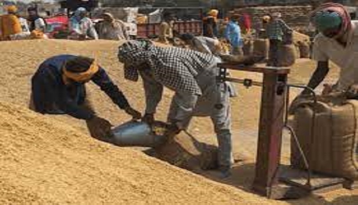 पूर्वी उत्तर प्रदेश में पहली नवंबर से होगी धान खरीद