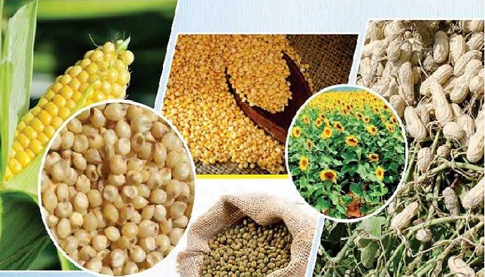 31 दिसंबर तक किसानों को होगा खरीफ मानदेय का भुगतान