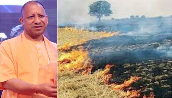 अनूठी पहल- किसानों को पराली के बदले गोवंश खाद दे रही योगी सरकार