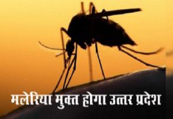 मलेरिया मुक्त यूपी बनाने के लिए अस्पतालों-स्कूलों में होंगे जागरूकता कार्यक्रम