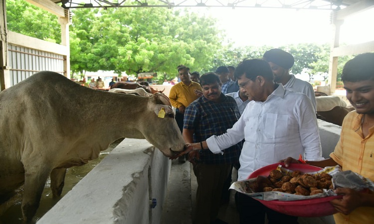सभी गोपालको से गोवंश का स्वयं पालन करने तथा निराश्रित न छोड़े: एके शर्मा