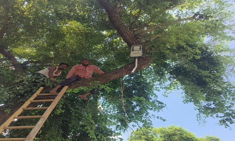 योगी सरकार की पहल, अंधेरे में जंगली जानवरों से मिलेगी सुरक्षा