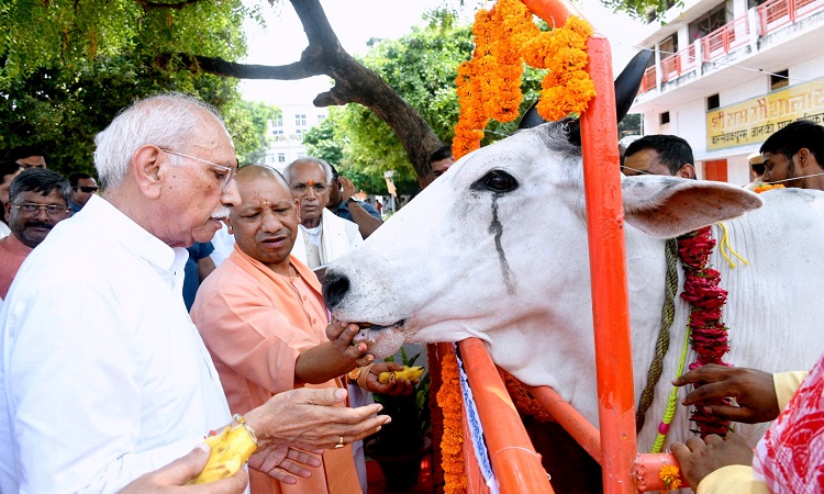 अयोध्या धाम में सीएम योगी ने की गौसेवा, पौधरोपण से दिया पर्यावरण संरक्षण का संदेश