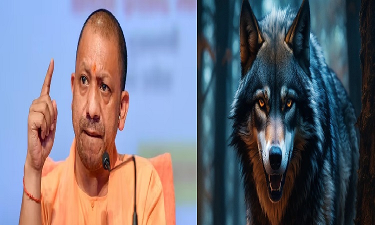 आदमखोर भेड़िए और तेंदुओं के हमले से बचाने के लिए सरकार मुस्तैद, सीएम योगी ने दिए निर्देश