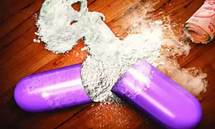 ANTF ने 3 साल में जब्त किए 175 करोड़ के अवैध मादक पदार्थ
