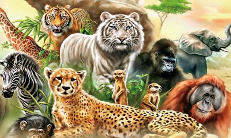 वन्य जीव से बचाव को लेकर स्कूली छात्रों को जागरूक करेगी योगी सरकार