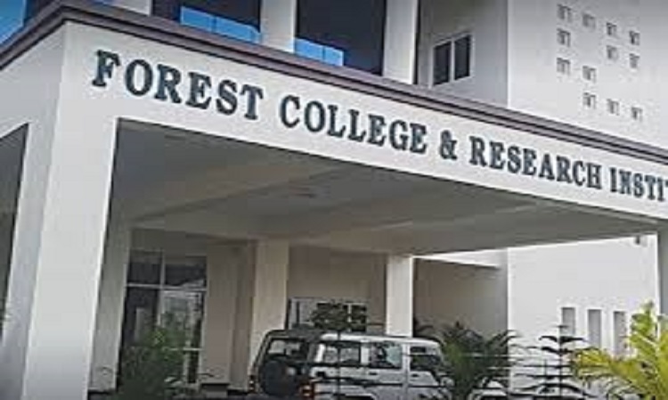 उत्तर भारत की पहली फॉरेस्ट्री यूनिवर्सिटी खोलने की कवायद तेज