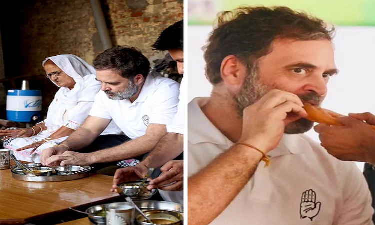 चूल्हे की रोटी खाई, जलेबी का लिया स्वाद…, हरयाणा में राहुल गांधी के अलग अंदाज