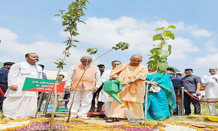 14 जनवरी तक पेड़ बचाओ अभियान त्रैमास चलाएगी योगी सरकार