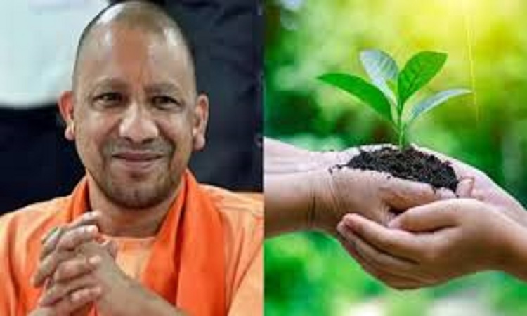 महाकुंभ में रोपित किए जायेंगे 2 लाख 71 हजार पौधे
