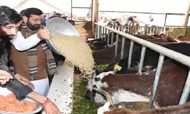 हरियाणा के मुख्यमंत्री सभी हलकाें में सुनेंगे जनता की शिकायतें