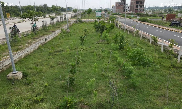 डेढ़ लाख पौधों से महाकुम्भनगर बन रहा स्पेशल हाईडेंसिटी ऑक्सीजन फॉरेस्ट
