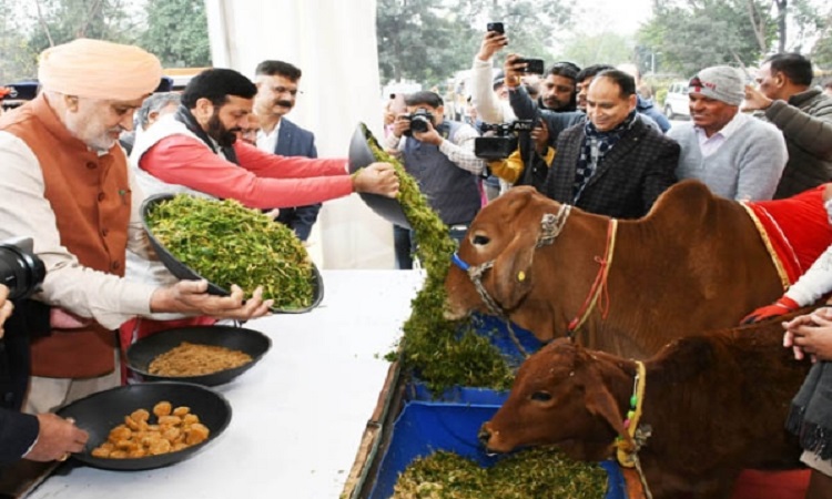 गौशालाओं पर खर्च होगी गौ-चरान भूमि के ठेेके मिली राशि: नायब सैनी