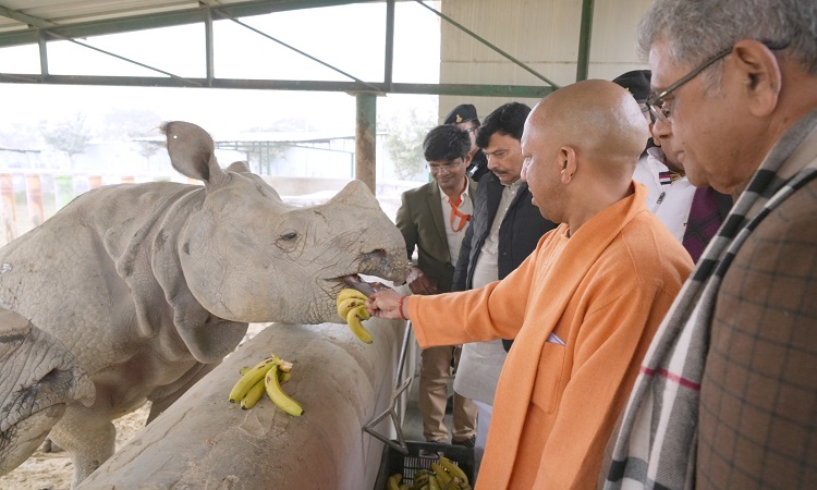जानवरों के मन में भी होती है संवेदनाः सीएम योगी