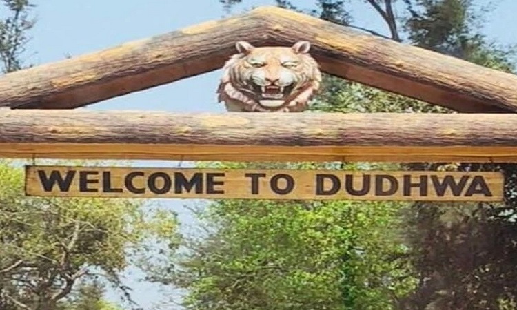 योगी सरकार नवंबर में आयोजित करेगी प्रदेश का पहला दुधवा महोत्सव