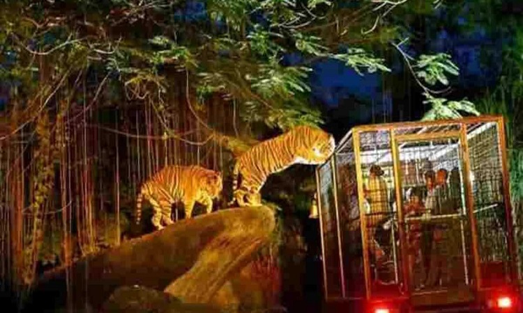 अप्रैल से होगी सीएम योगी के ड्रीम प्रोजेक्ट ‘कुकरैल नाइट सफारी व एडवेंचर पार्क’ के निर्माण से जुड़े कार्यों की शुरुआत