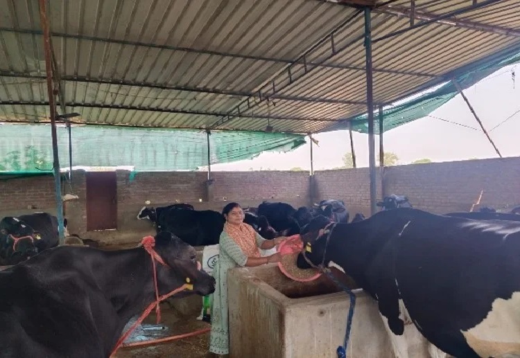 योगी सरकार का मिला सहारा, गरीबी को पीछे छोड़ लखपति बनी सोनभद्र की विनीता