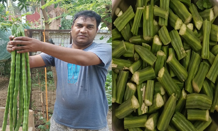 सहजन ,मतलब सेहत के लिए पॉवर हाउस