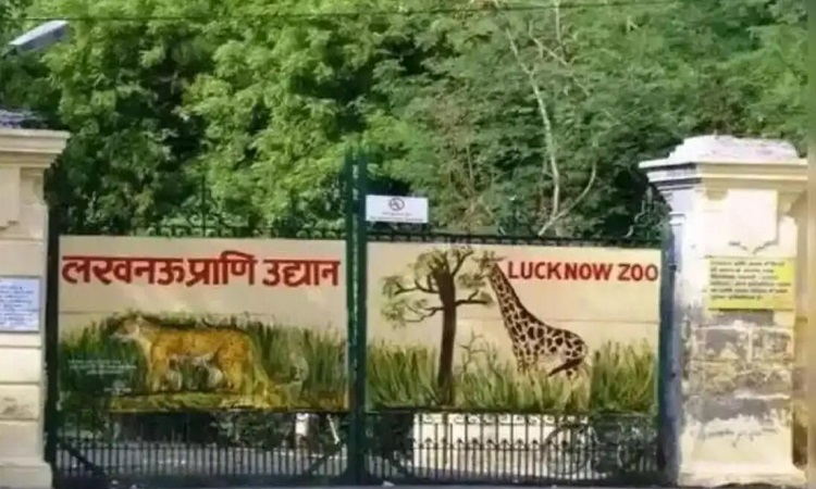 यूपी के चिड़ियाघरों में बर्ड फ्लू को लेकर हाई अलर्ट, वन्य जीवों की सुरक्षा के लिए उठाए जा रहे कड़े कदम