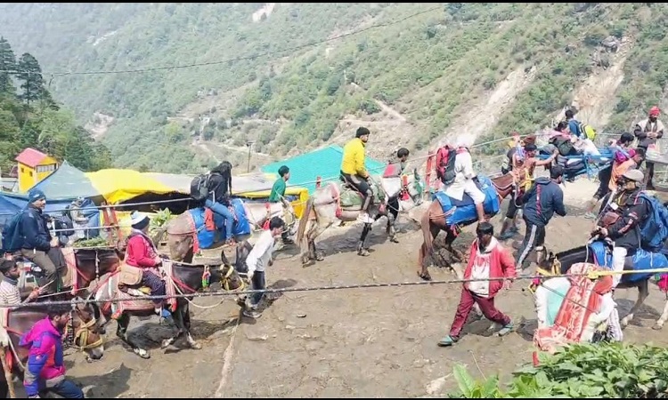 Kedarnath Dham: सात लाख से अधिक श्रद्धालुओं ने किए बाबा के दर्शन
