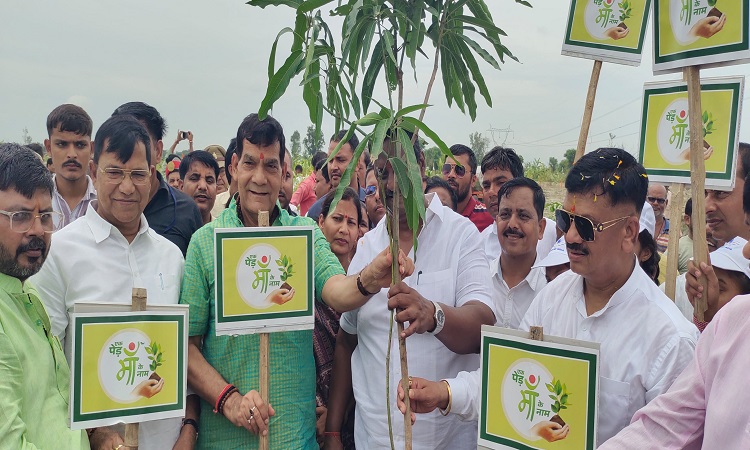 एके शर्मा ने ‘एक पेड़ माँ के नाम’ अभियान के अंतर्गत वृक्षारोपण महाभियान का किया शुभारंभ