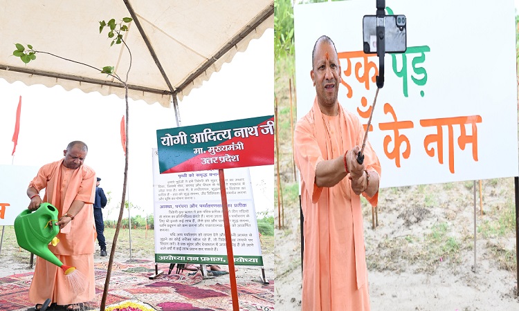 छाया, फल, मृदा संरक्षण और प्रदूषण नियंत्रण में महत्वपूर्ण भूमिका निभाते हैं पेड़ : मुख्यमंत्री