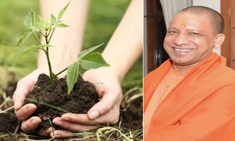योगी सरकार ने रचा इतिहास, अब तक सर्वाधिक पौधरोपण का कीर्तिमान