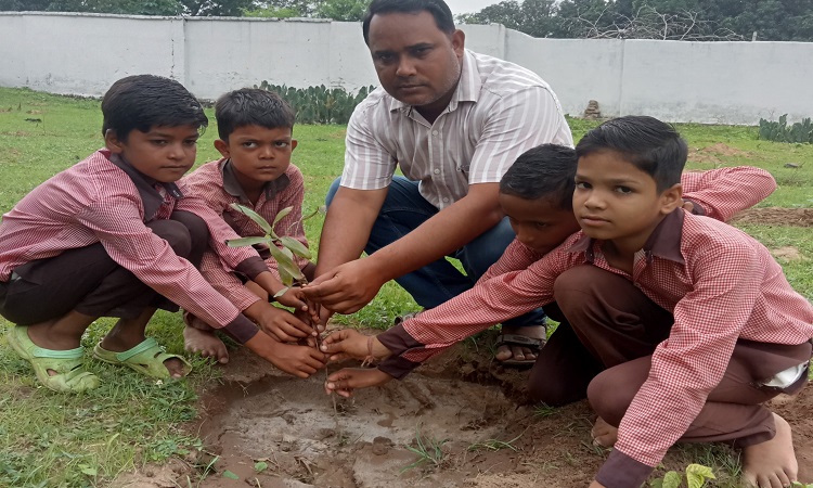 पौधरोपण महाभियान-2025 बना जन आंदोलन, सोनभद्र जिले में हुआ सर्वाधिक पौधारोपण