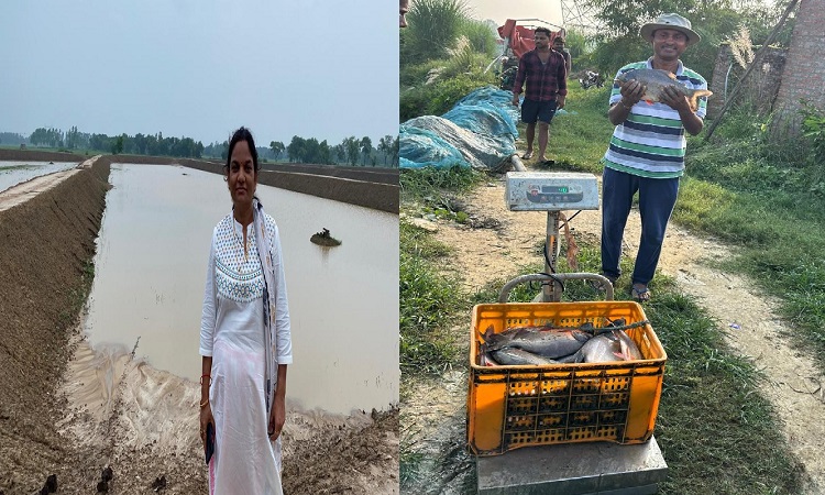 मत्स्य पालन में आत्मनिर्भरता की मिसाल बनीं मीरा सिंह, अपने साथ 10 अधिक लोगों को दे रही रोजगार