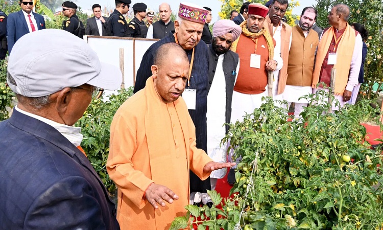 उन्नत खेती की राह पर उत्तर प्रदेश: नवाचार से बढ़ रही किसानों की समृद्धि