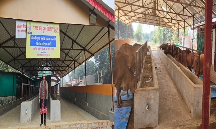 समृद्धि की राह दिखा रही योगी सरकार की नंदिनी कृषक समृद्धि योजना